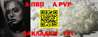 ешки Славгород