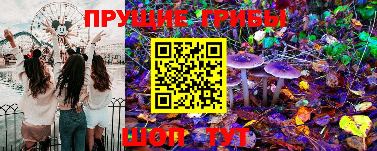 Галлюциногенные грибы Psilocybine cubensis  Галлюциногенные грибы MAGIC MUSHROOMS  Вход с VPN  Новочебоксарск 