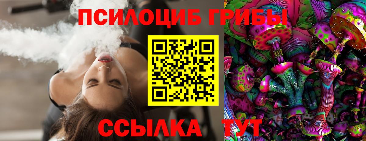 Галлюциногенные грибы Cubensis Новочебоксарск